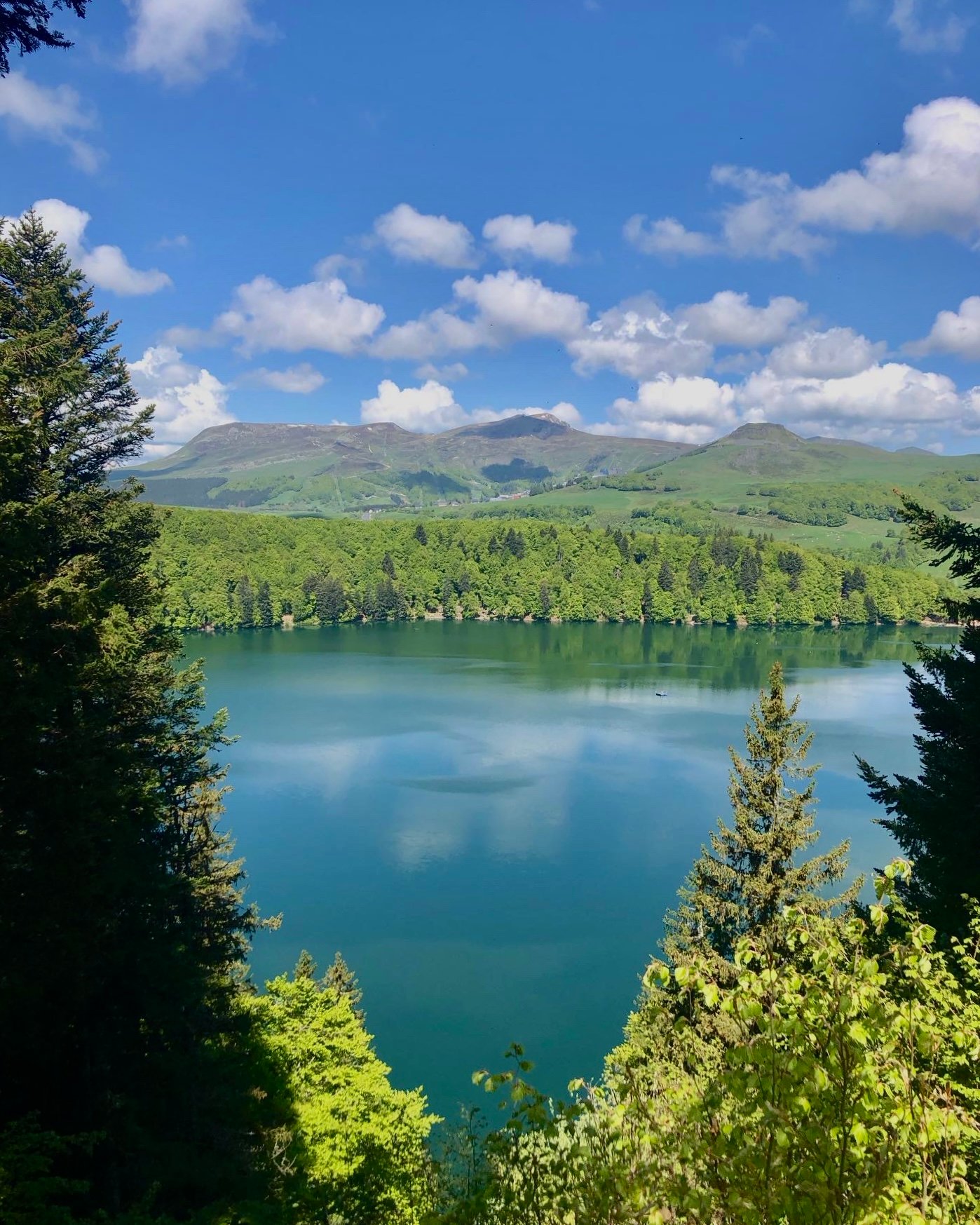 25119C1F-EF8F-4628-8EF4-2EB9D0AB3592